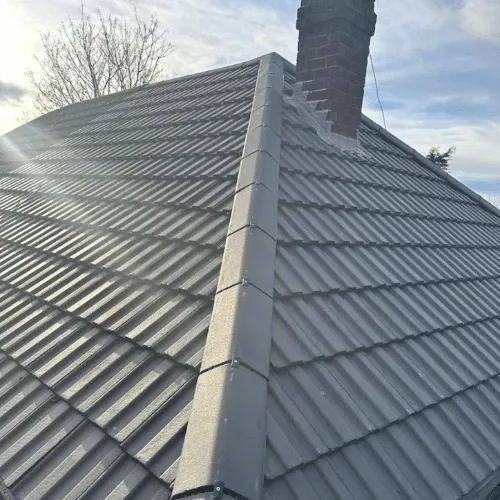 Recent roof project