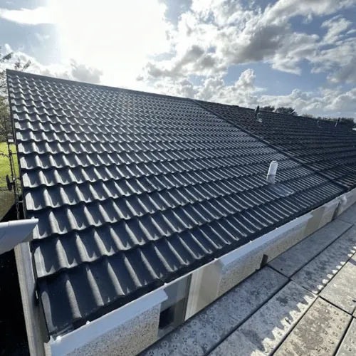Recent roof project